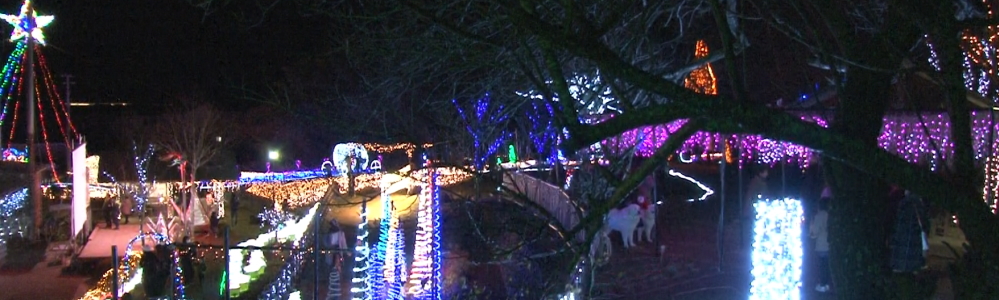 ニュース・報道